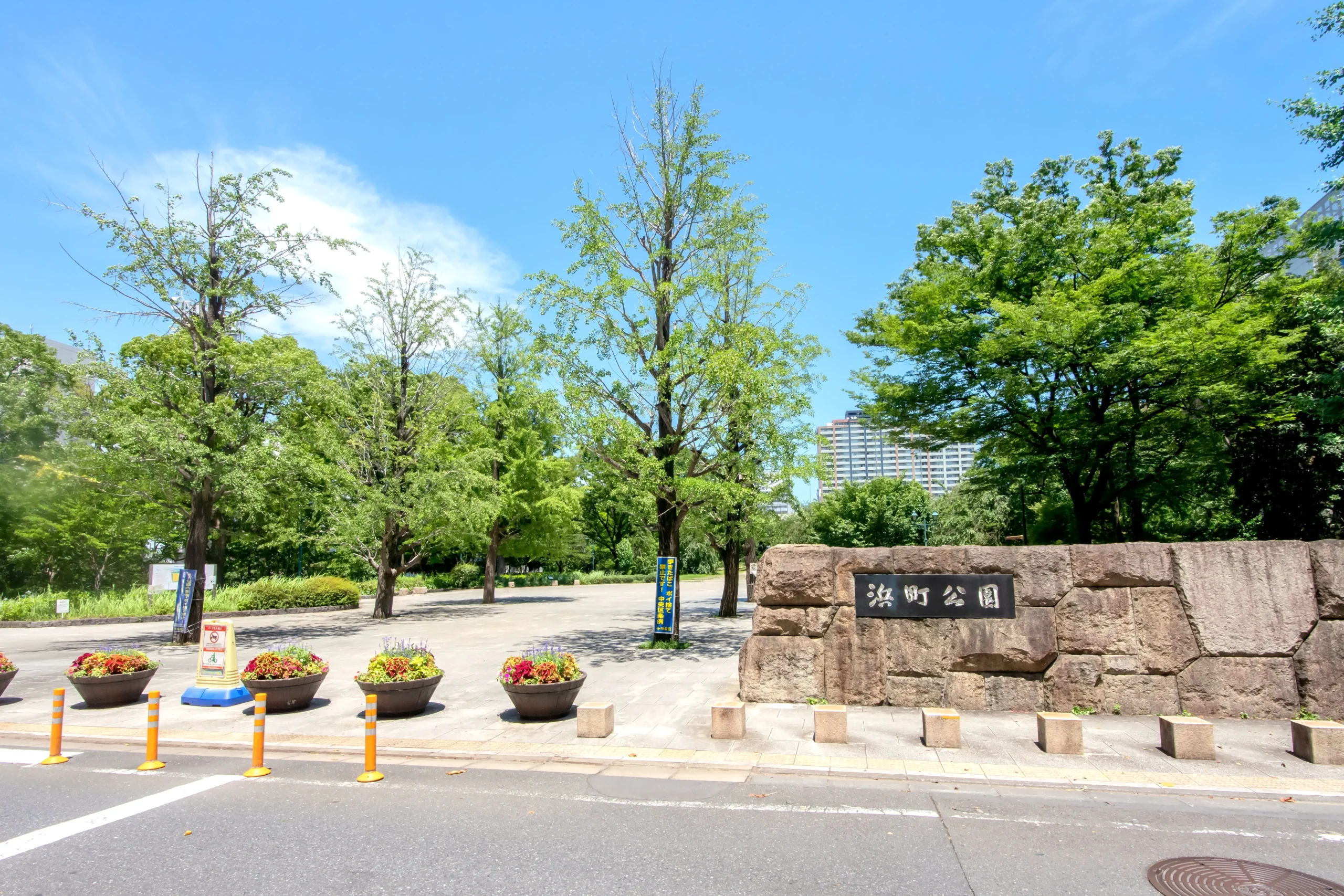 日本橋浜町の中古マンション相場はいくら？価格推移や物件選びのポイントを解説